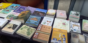 Zwolse boekenmarkt groot succes: “Het is een gezellige markt gewoon”